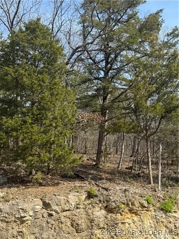 $6,650 | Lot 67 Regency Cove Drive, Four Seasons, MO 65049