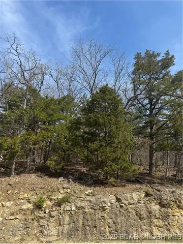 $6,650 | Lot 67 Regency Cove Drive, Four Seasons, MO 65049