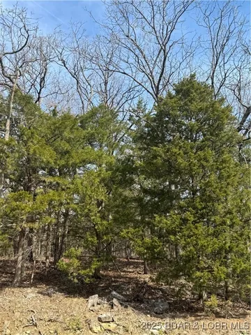 $6,650 | Lot 67 Regency Cove Drive, Four Seasons, MO 65049