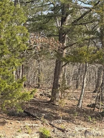 $6,650 | Lot 67 Regency Cove Drive, Four Seasons, MO 65049