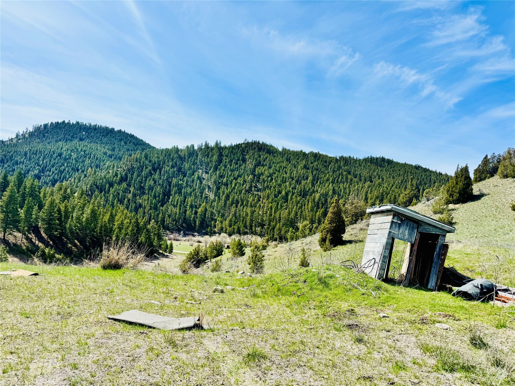 31 Packer Gulch Road Drummond, MT 59832 - Photo 6 of 26 Gallery Image 6