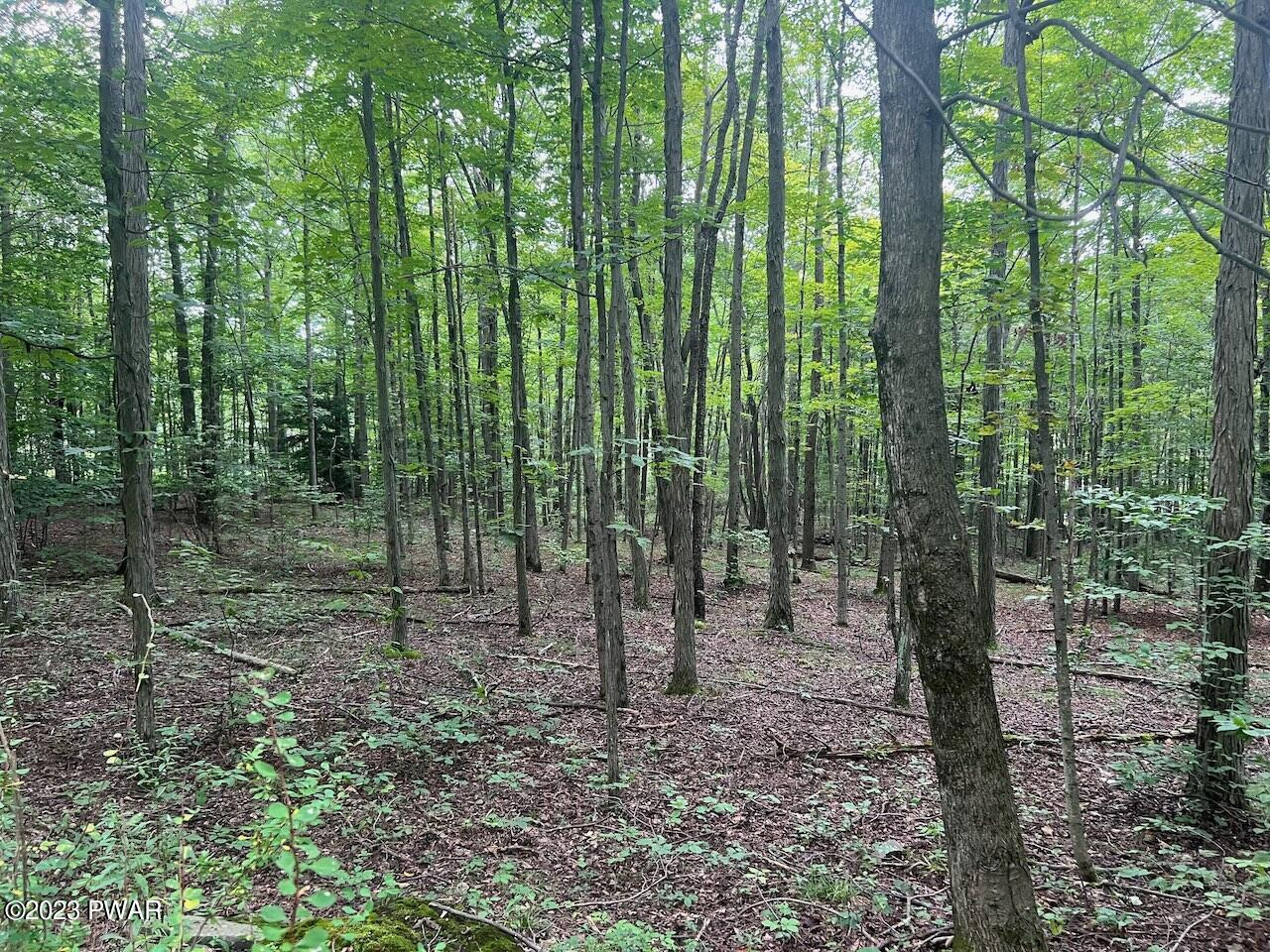 4-5 Secluded Lk Road Newfoundland, PA 18445 - Photo 17 of 22