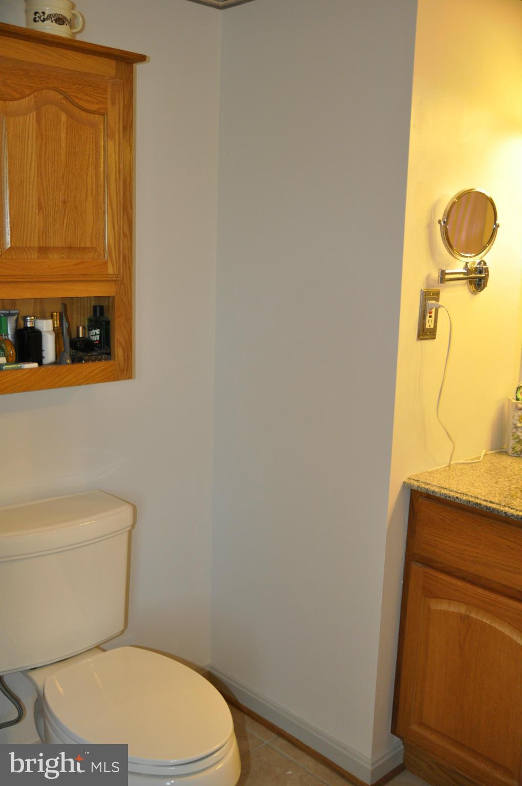 8194 Oakglen Road Manassas, VA 20110 - Photo 18 of 19 Bath (Master)
