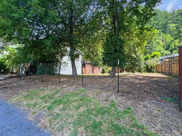 a view of a backyard with large trees and wooden fence