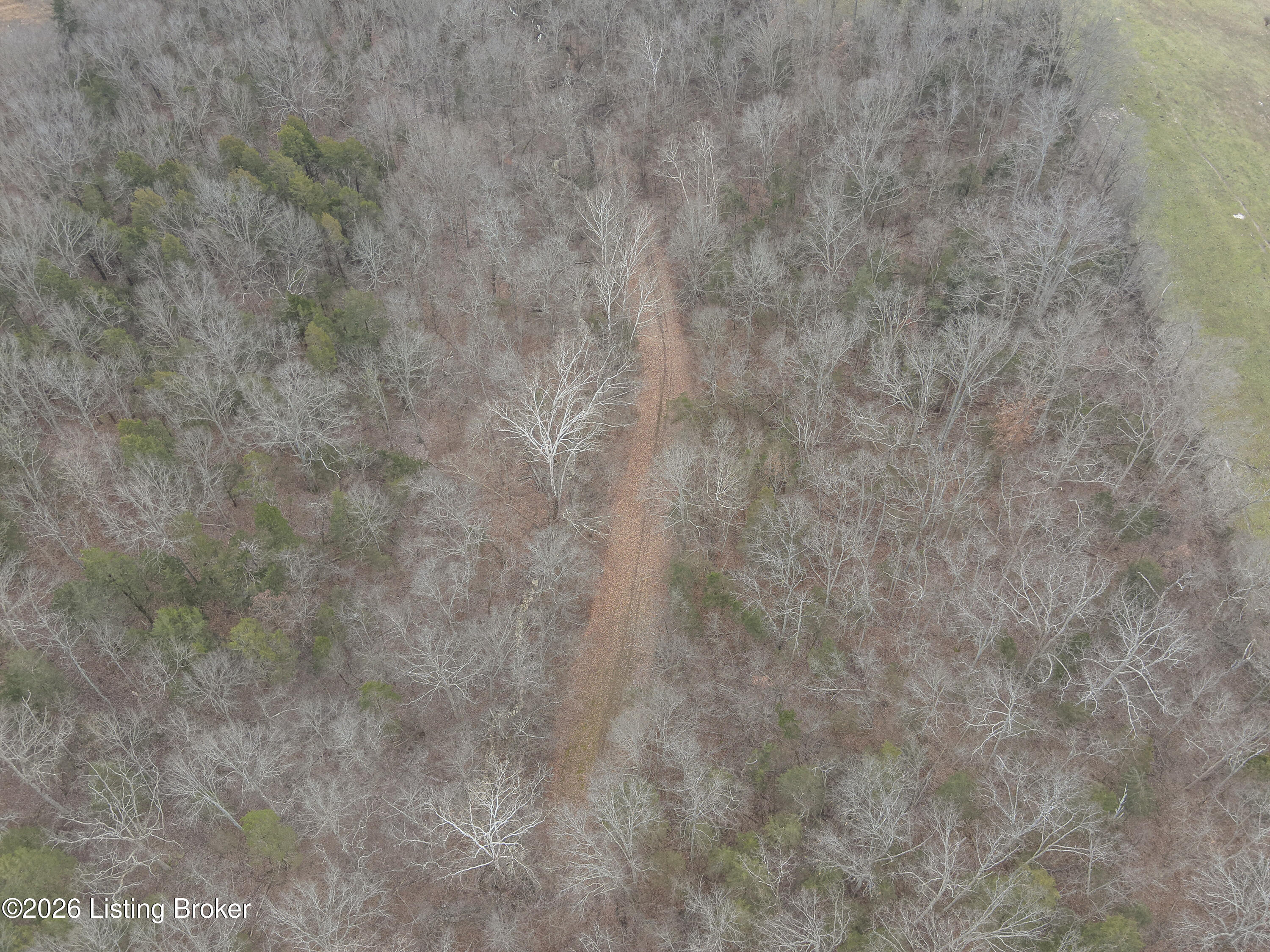 6709 Battle Road Harrodsburg, KY 40330 - Photo 23 of 78 7-DJI_20260115135601_0007_W