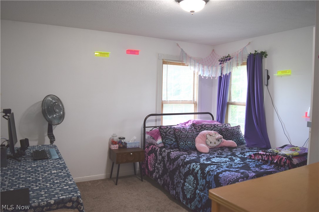 4777 Waterloo Road Atwater, OH 44201 - Photo 24 of 40