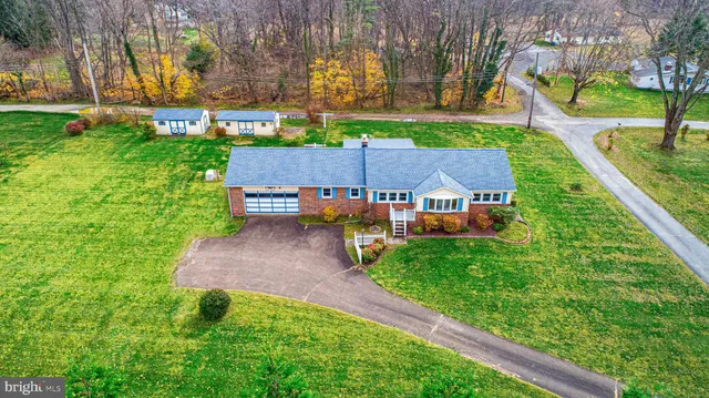 a view of a garden with a bench in the garden