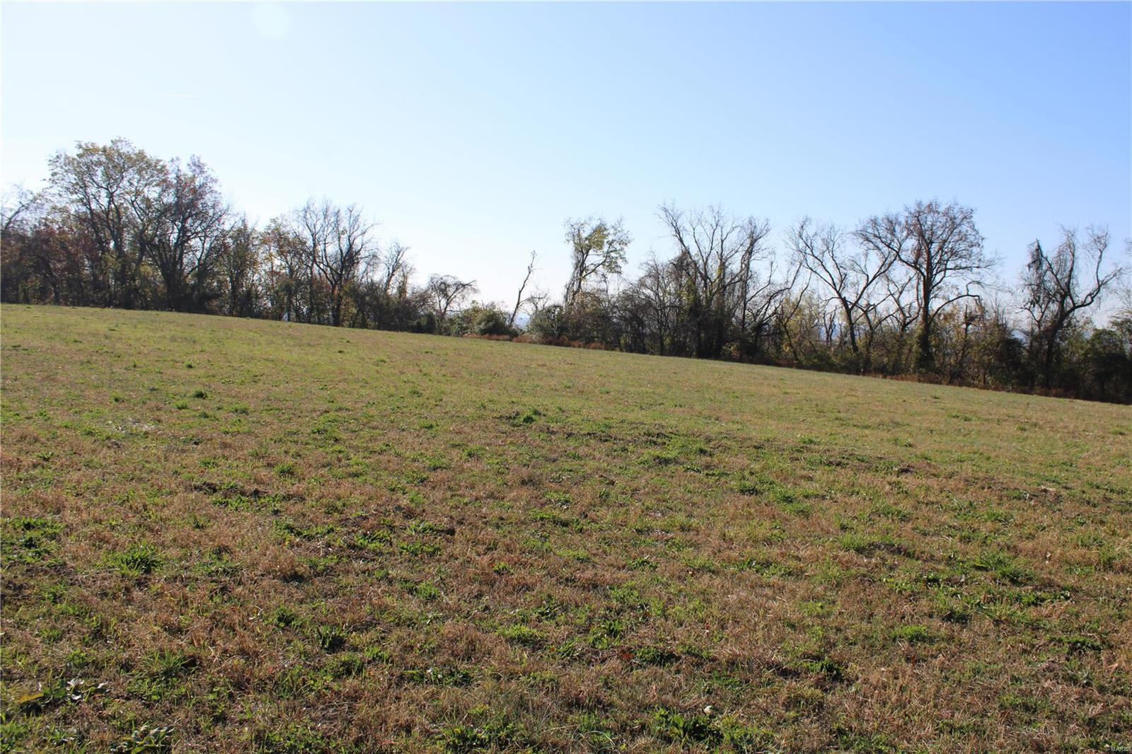 0 St Leo Road Modoc, IL 62261 - Photo 14 of 23