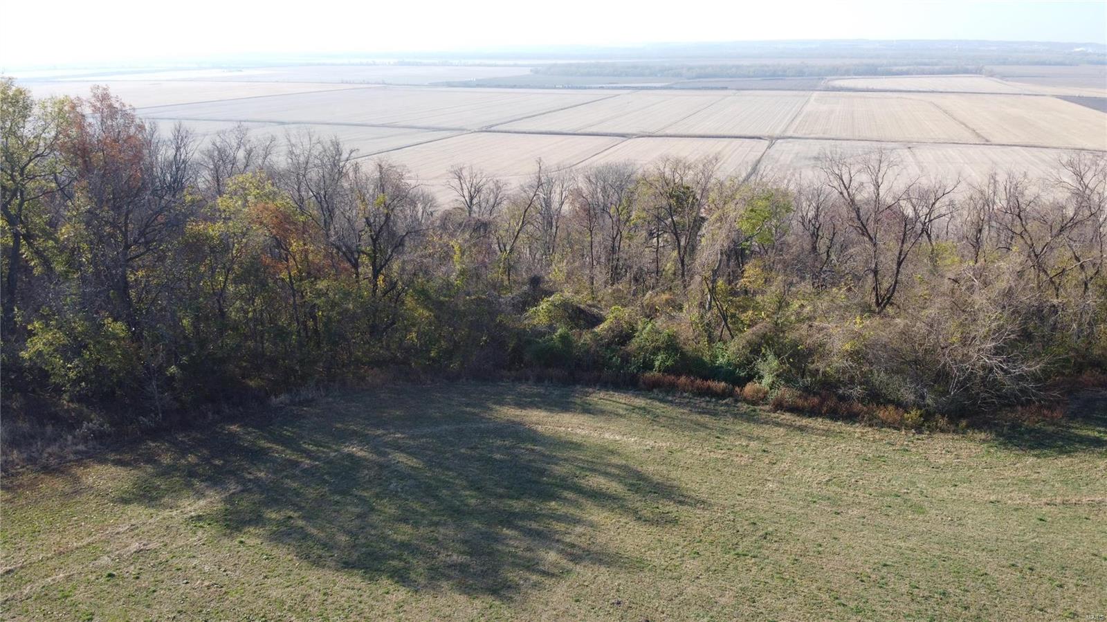0 St Leo Road Modoc, IL 62261 - Photo 16 of 23