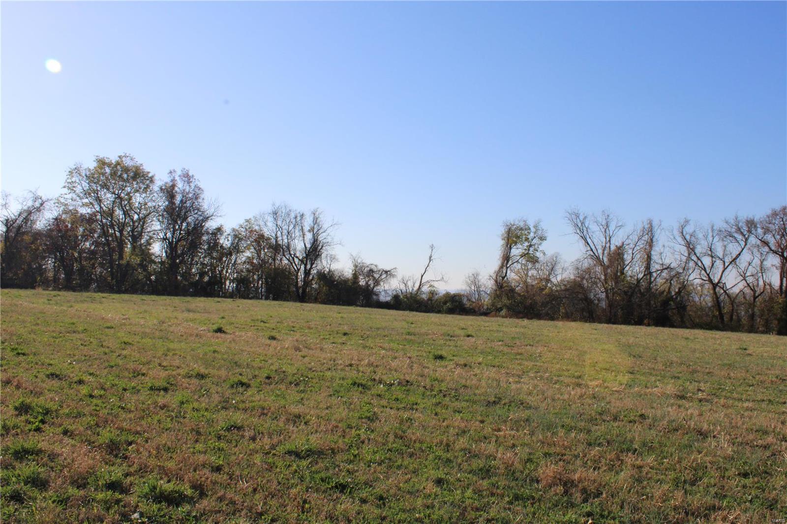 0 St Leo Road Modoc, IL 62261 - Photo 2 of 23
