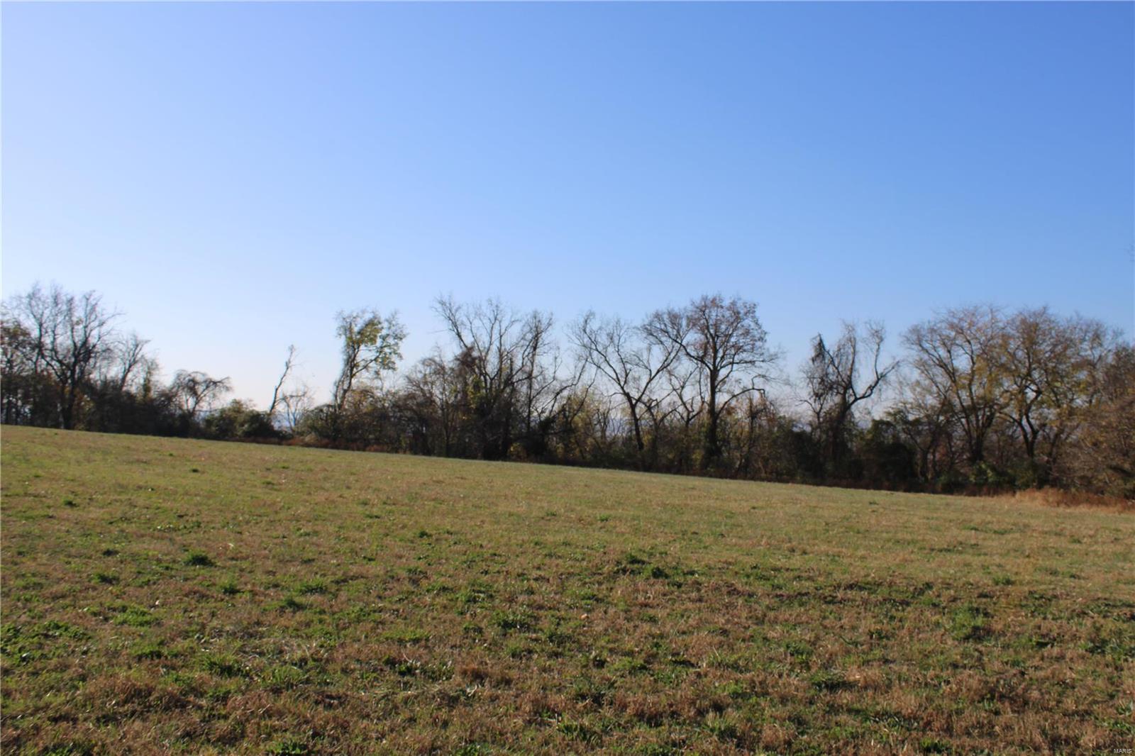 0 St Leo Road Modoc, IL 62261 - Photo 6 of 23