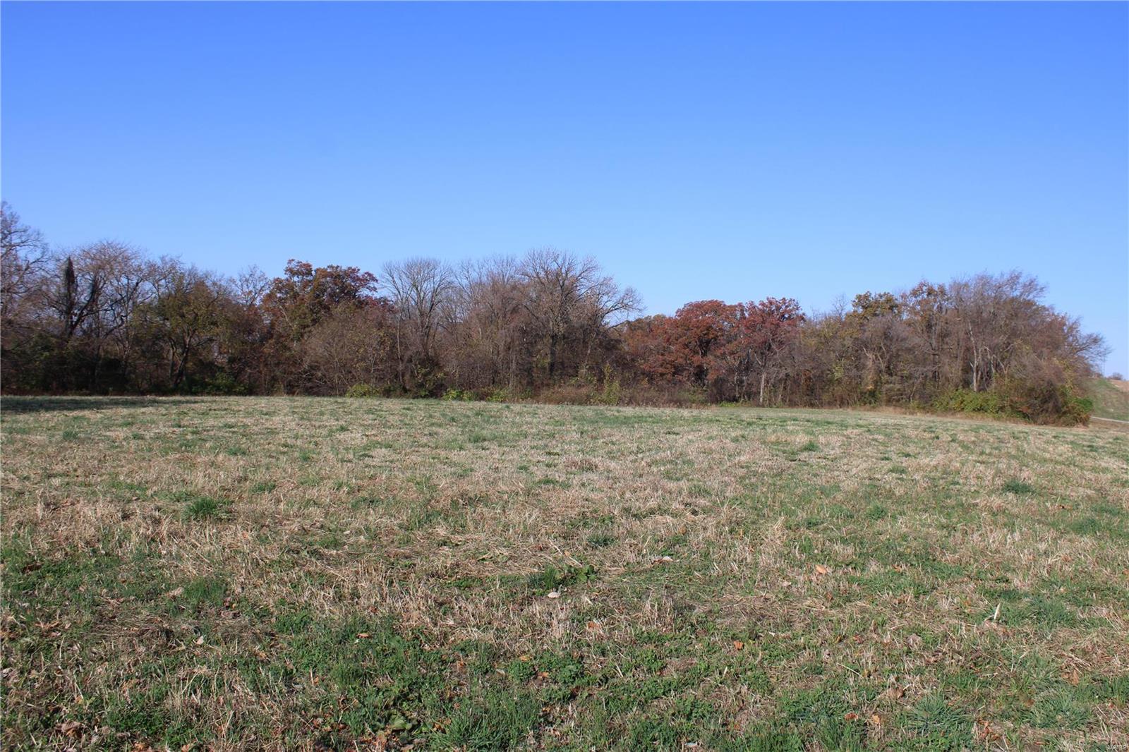 0 St Leo Road Modoc, IL 62261 - Photo 7 of 23