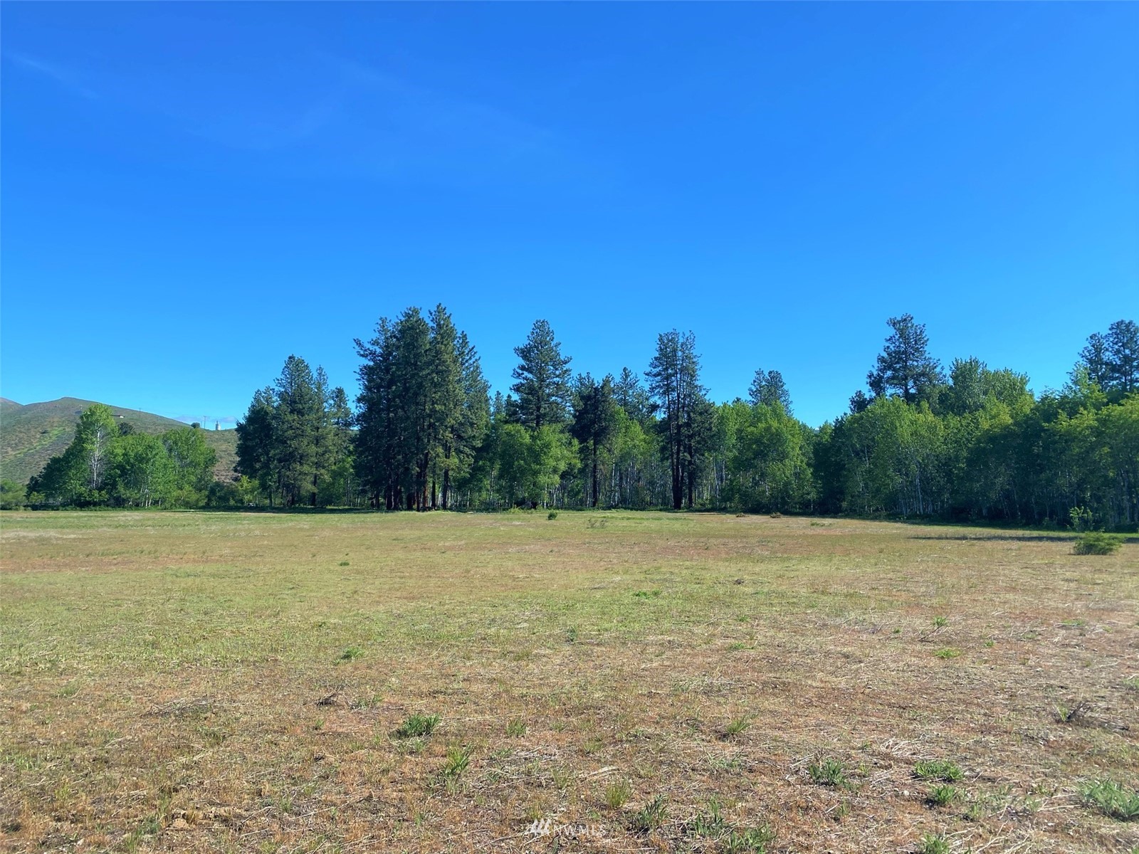 16 Wright Road Winthrop, WA 98862 - Photo 20 of 34 Gallery Image 20