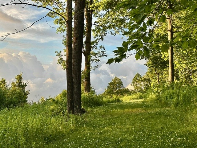386 Springfield Hill Road Middlefield, NY 13326 - Photo 41 of 44 Gallery Image 41