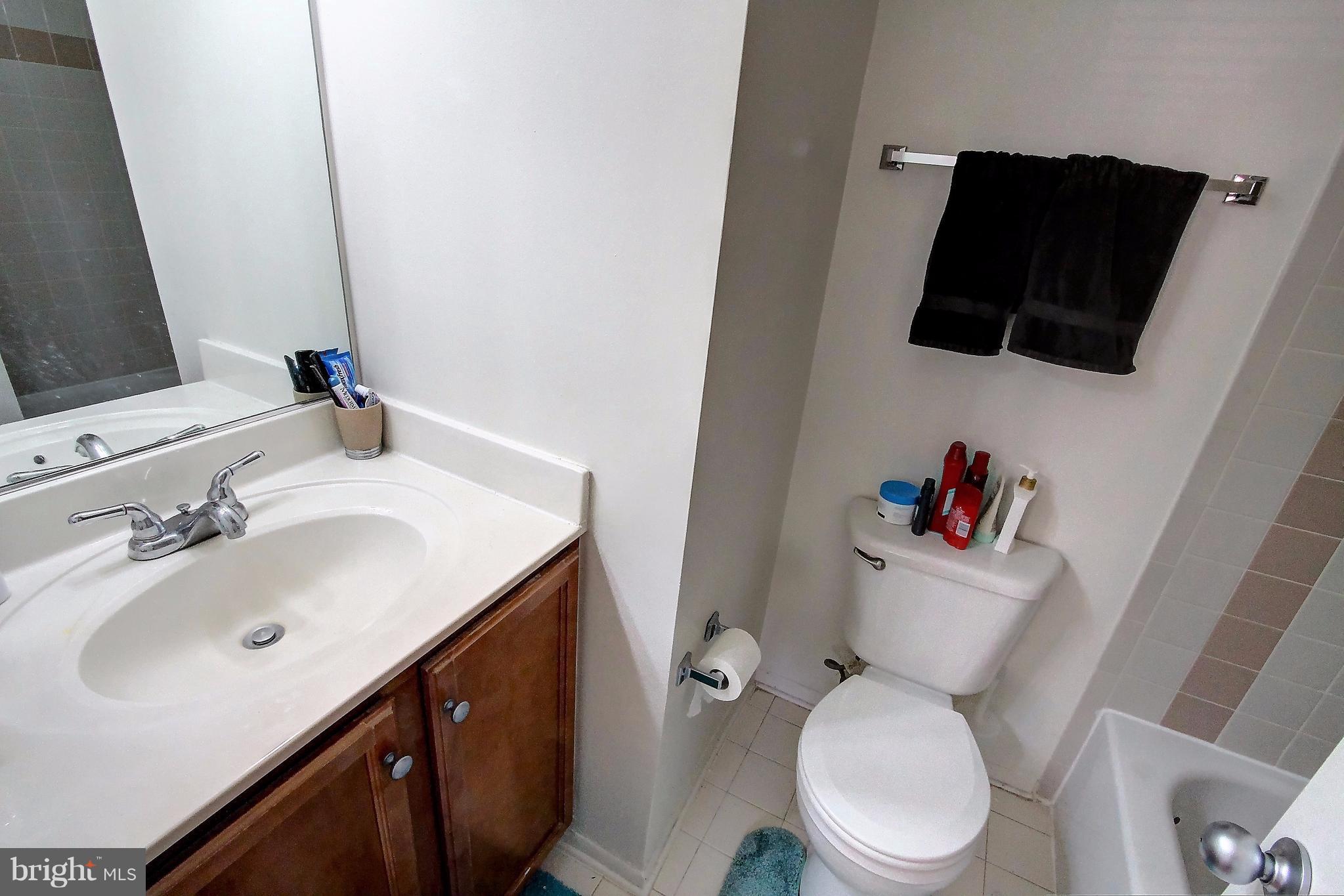 1703 Ascot Way, Unit E Reston, VA 20190 - Photo 18 of 24 Master Bathroom