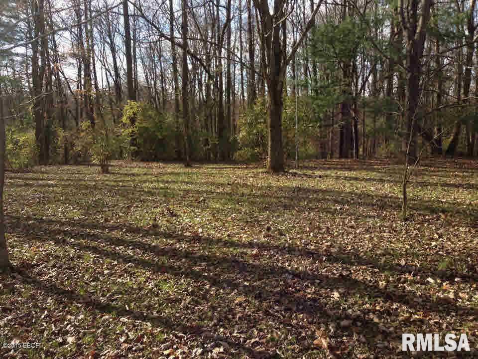 326 White Tail Road Murphysboro, IL 62966 - Photo 19 of 20