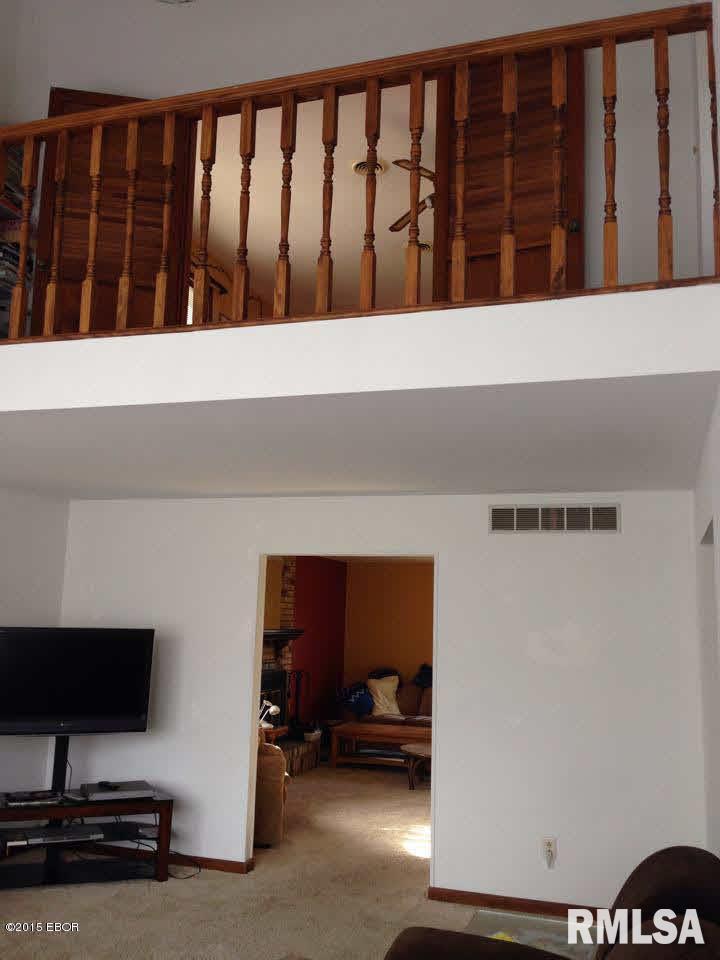 326 White Tail Road Murphysboro, IL 62966 - Photo 9 of 20