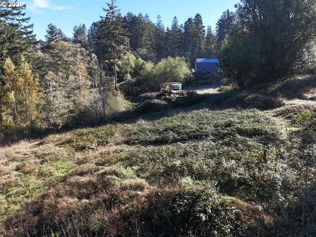 a view of a yard with trees in the background