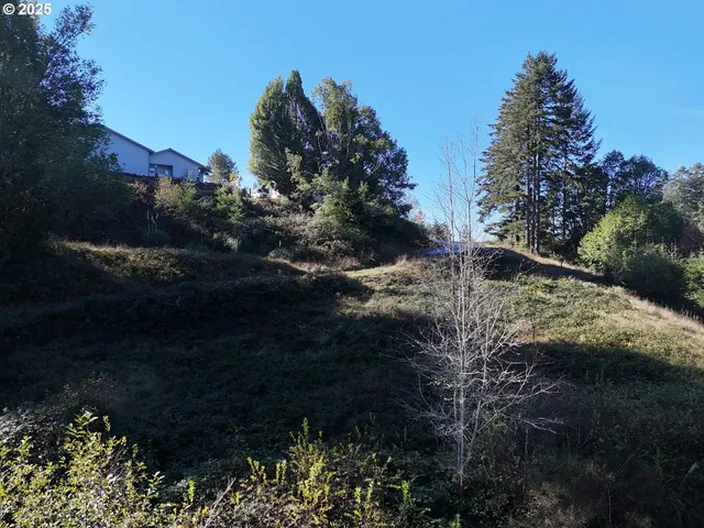 a view of a forest with a building