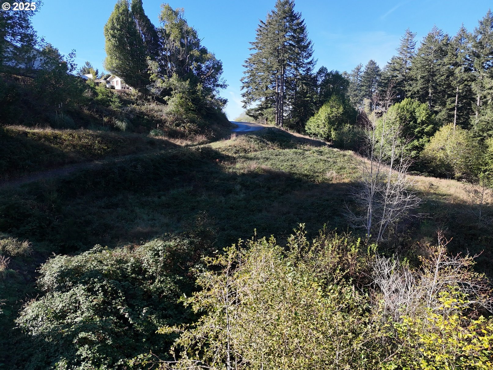 Brooke Lane, Unit 4 Brookings, OR 97415 - Photo 10 of 19 a view of a garden with a pathway