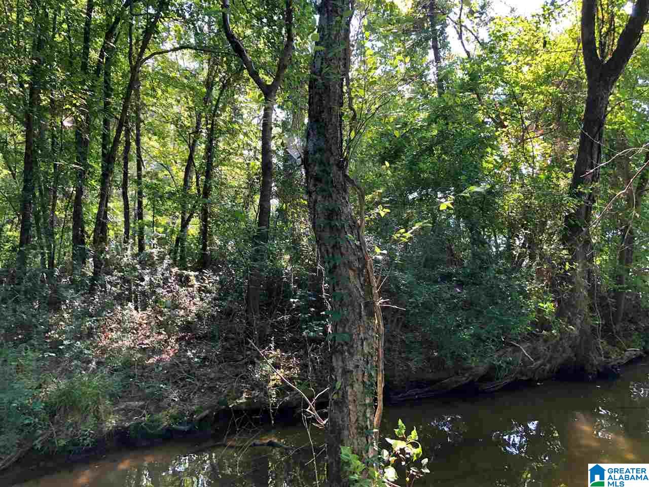 0 Brooks Road Ragland, AL 35131 - Photo 39 of 49