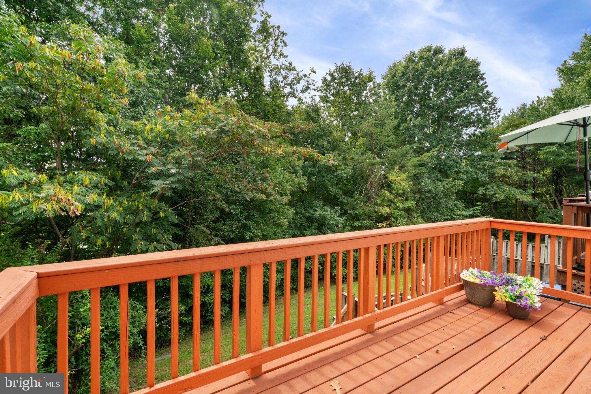 5223 Spring Branch Boulevard Dumfries, VA 22025 - Photo 41 of 44 Gallery Image 41