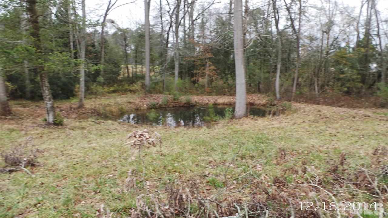696 Lamms Grove Road Carthage, NC 28327 - Photo 5 of 9 a view of a forest with trees in the background