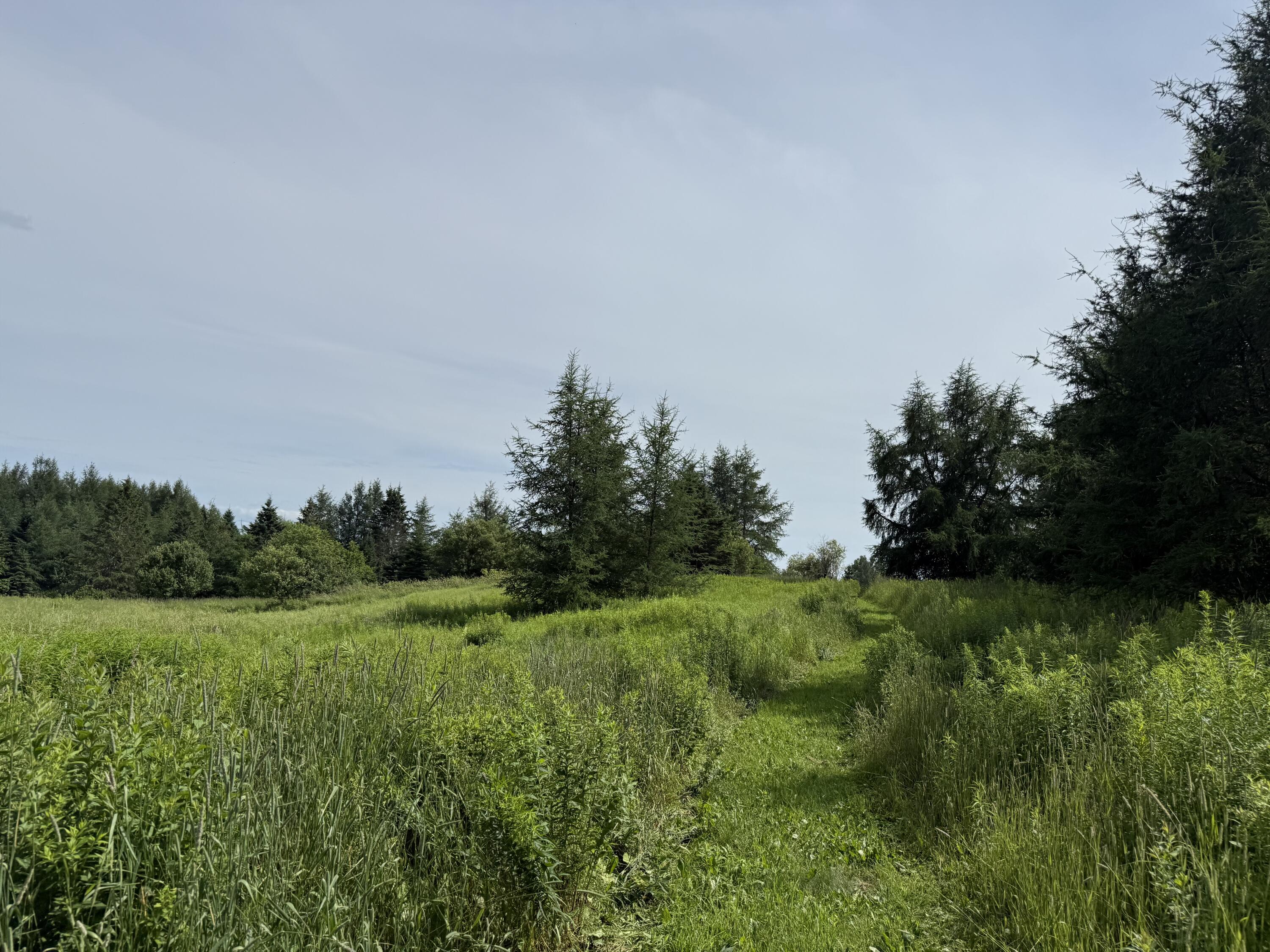 496 Britton Road Monticello, ME 04760 - Photo 18 of 40 IMG_1960