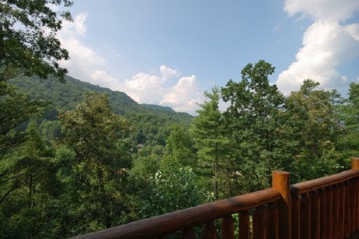 336 Raccoon Ridge Road Gatlinburg, TN 37738 - Photo 26 of 30 Additional Photo