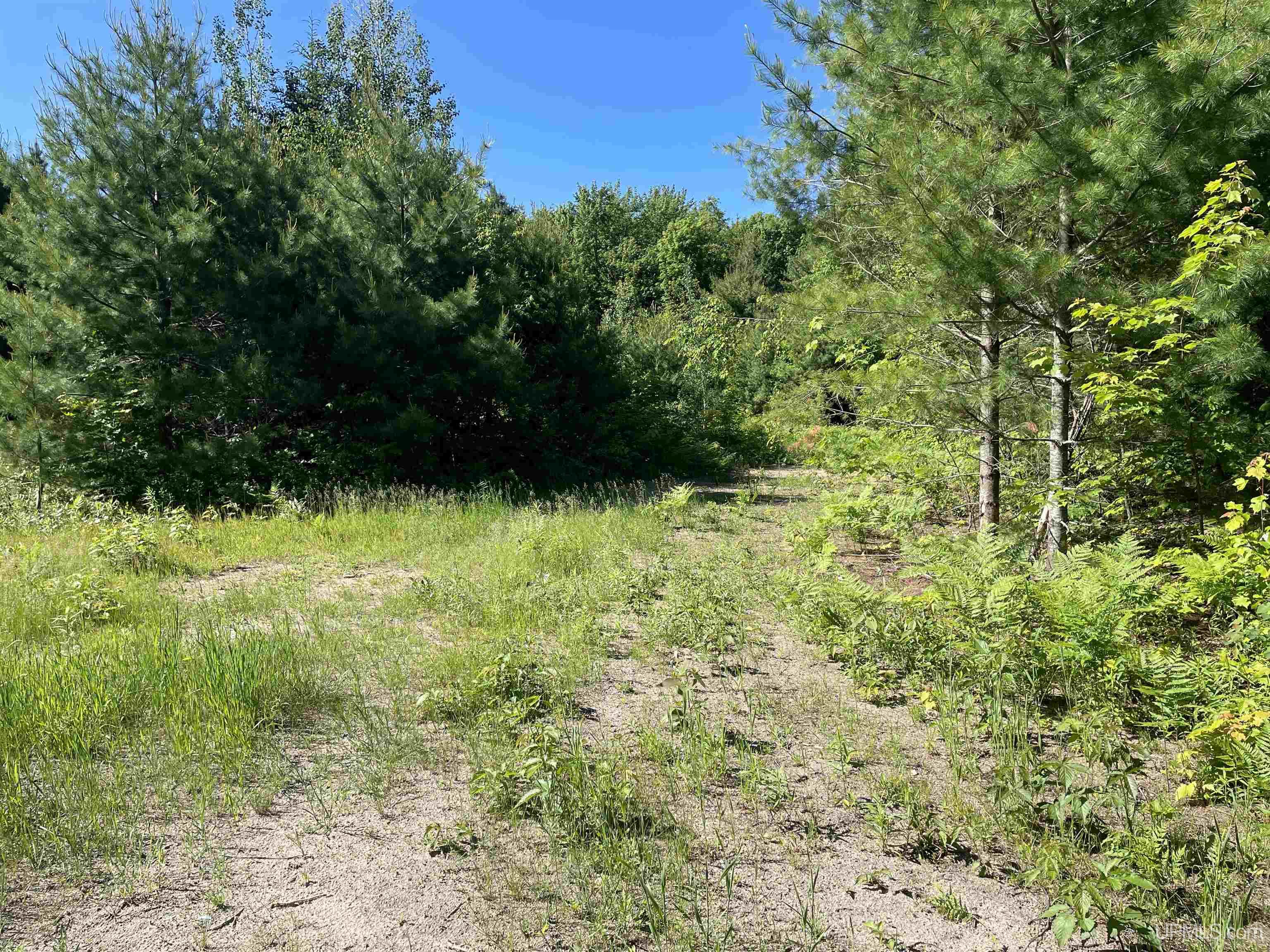 H15 Rd Shingleton Mi 49884 Road Shingleton, MI 49884 - Photo 2 of 6
