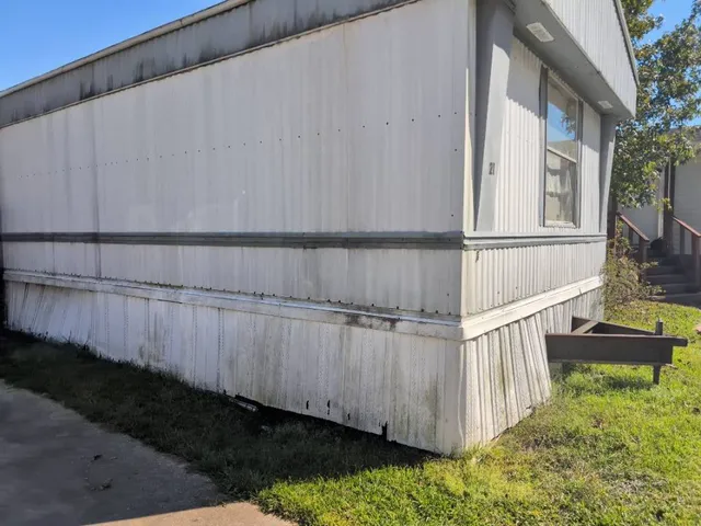 a view of a backyard with plants