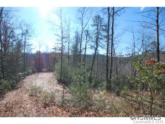 1 Israel Road Brevard, NC 28712 - Photo 1 of 23 Gallery Image 1