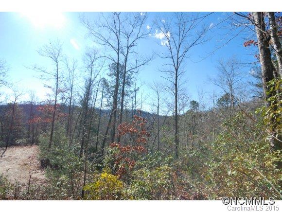 1 Israel Road Brevard, NC 28712 - Photo 17 of 23 Gallery Image 17