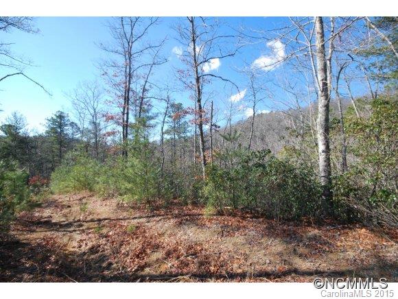 1 Israel Road Brevard, NC 28712 - Photo 22 of 23 Gallery Image 22