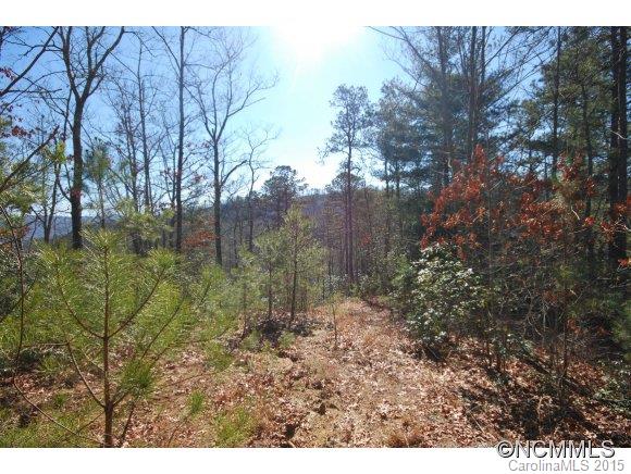 1 Israel Road Brevard, NC 28712 - Photo 23 of 23 Gallery Image 23