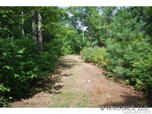 1 Israel Road Brevard, NC 28712 - Photo 5 of 23 Gallery Image 5