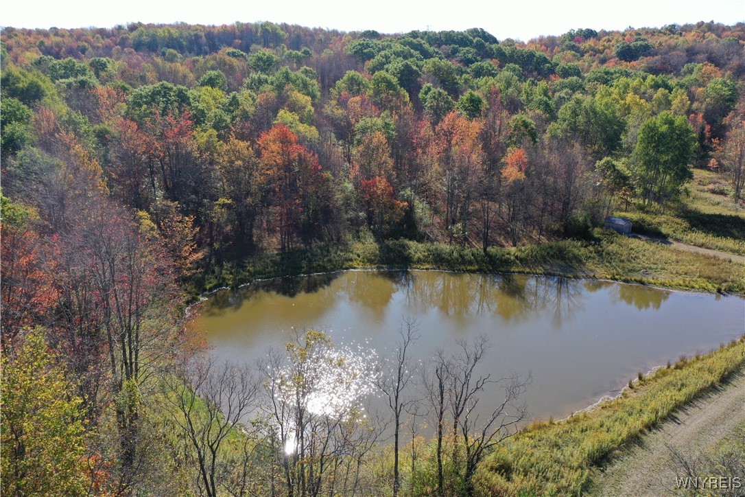 7475 Dublin Road Mansfield, NY 14779 - Photo 2 of 8