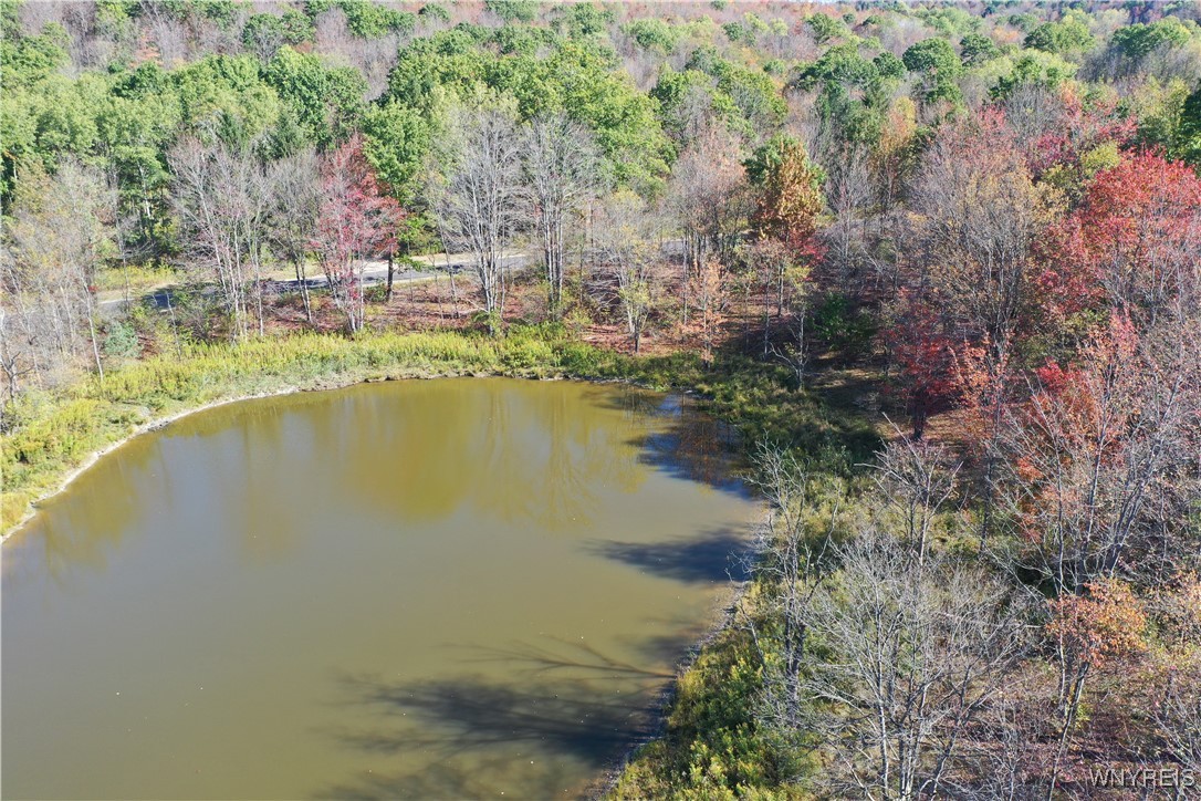 7475 Dublin Road Mansfield, NY 14779 - Photo 5 of 8