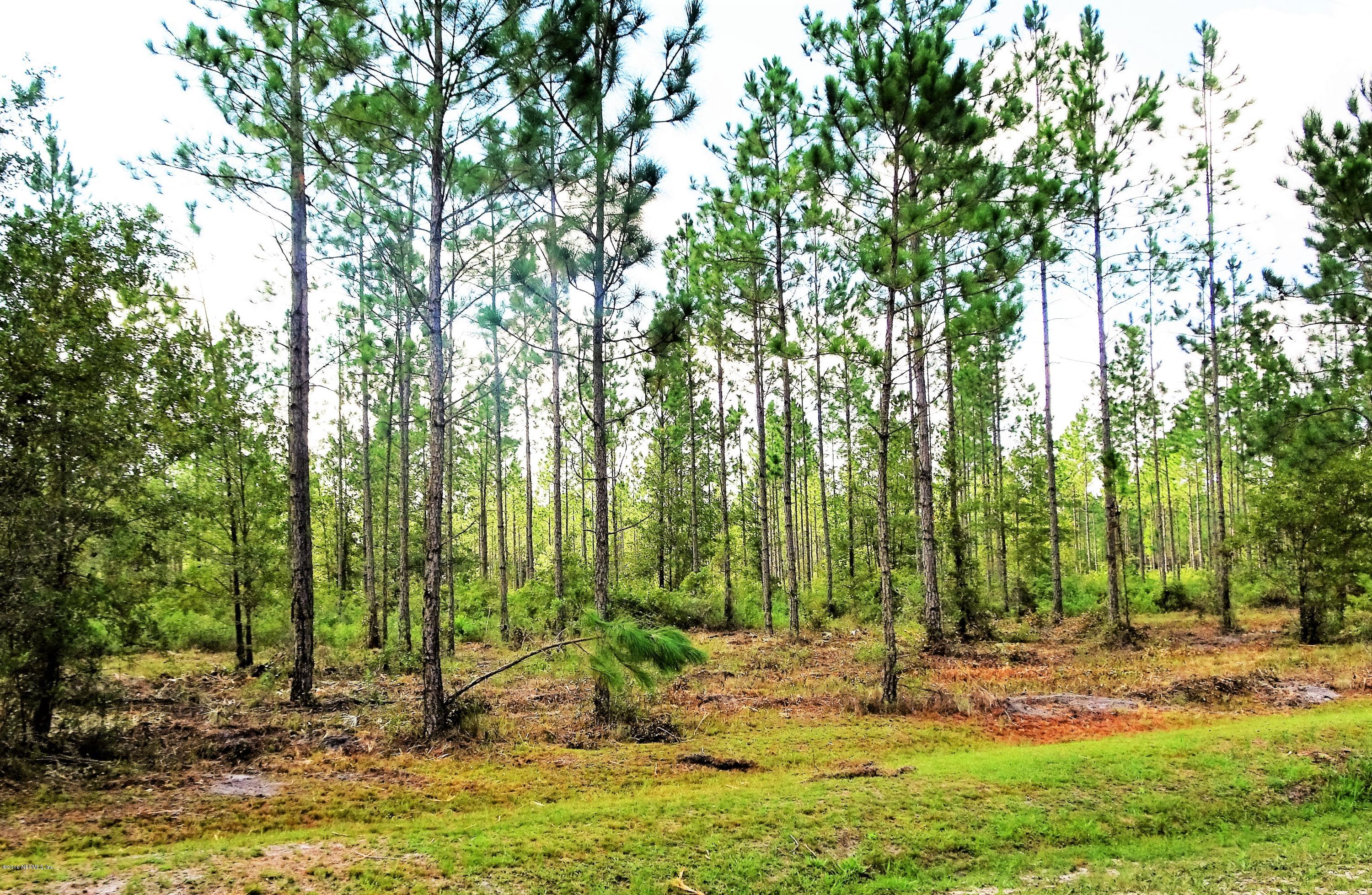 9069 McClelland Road Jacksonville, FL 32234 - Photo 11 of 11 a view of a backyard with trees