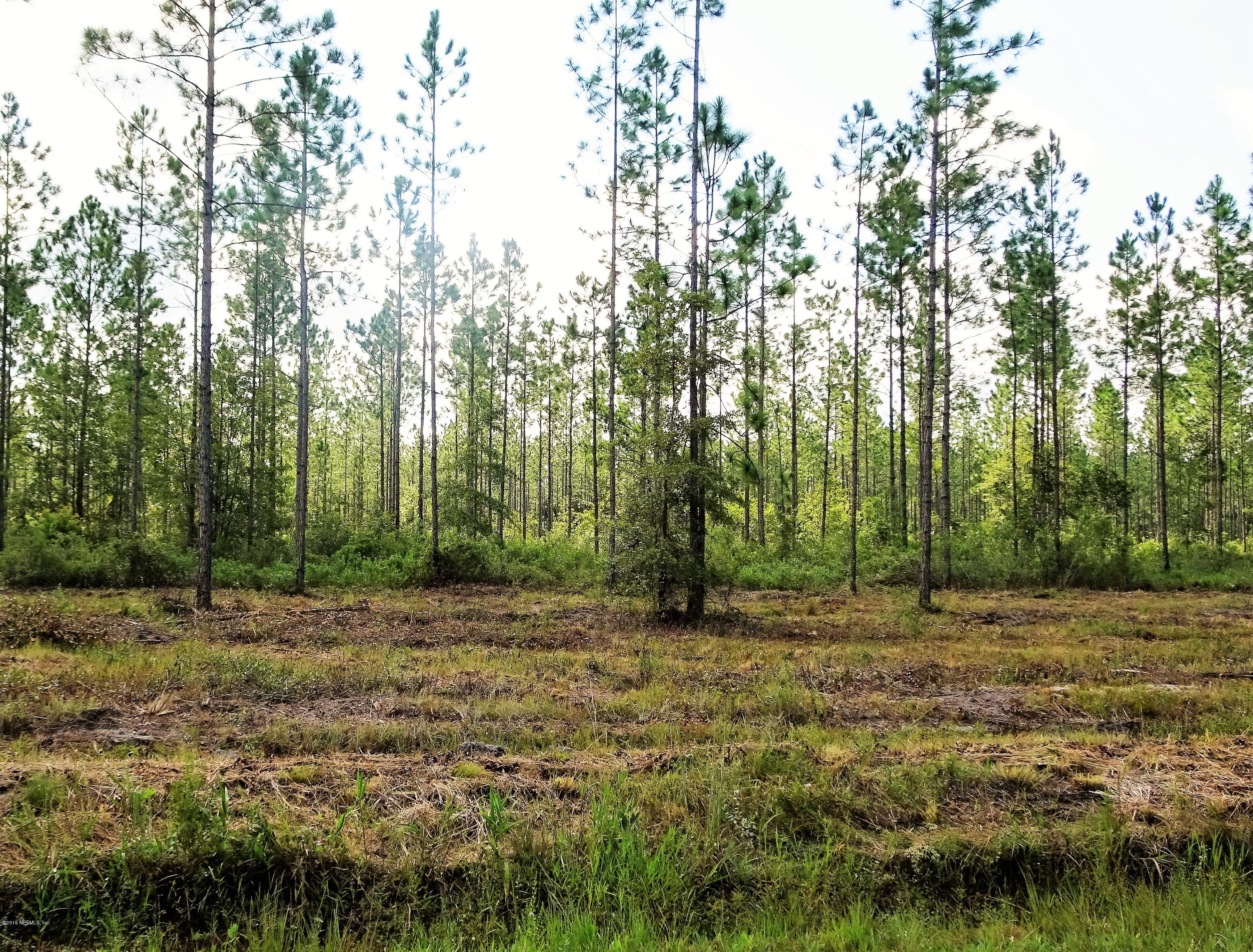 9069 McClelland Road Jacksonville, FL 32234 - Photo 3 of 11 a view of outdoor space with trees
