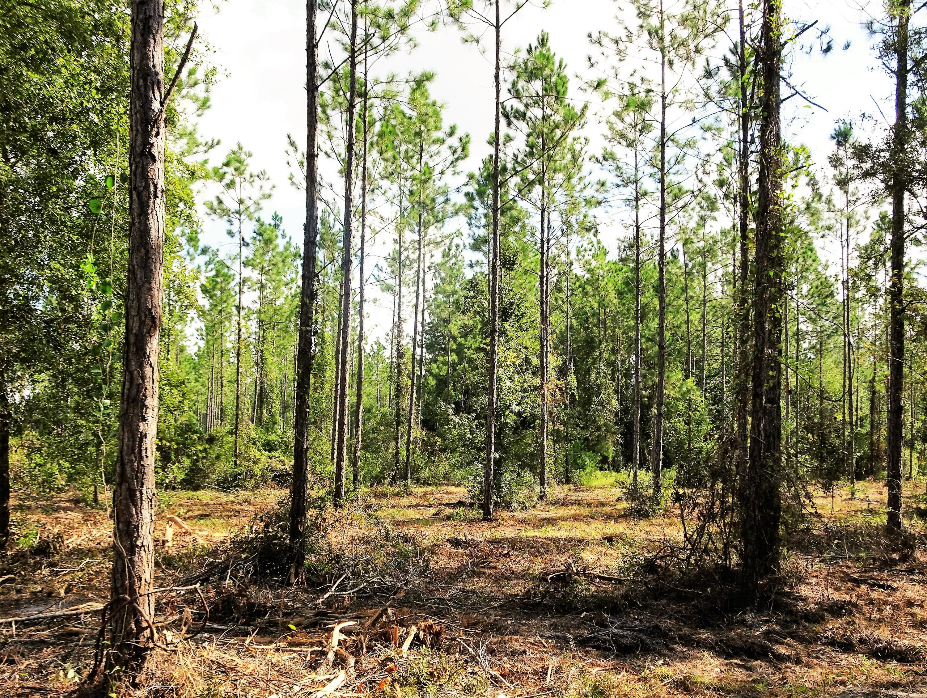 9069 McClelland Road Jacksonville, FL 32234 - Photo 4 of 11 a view of a yard with lots of trees