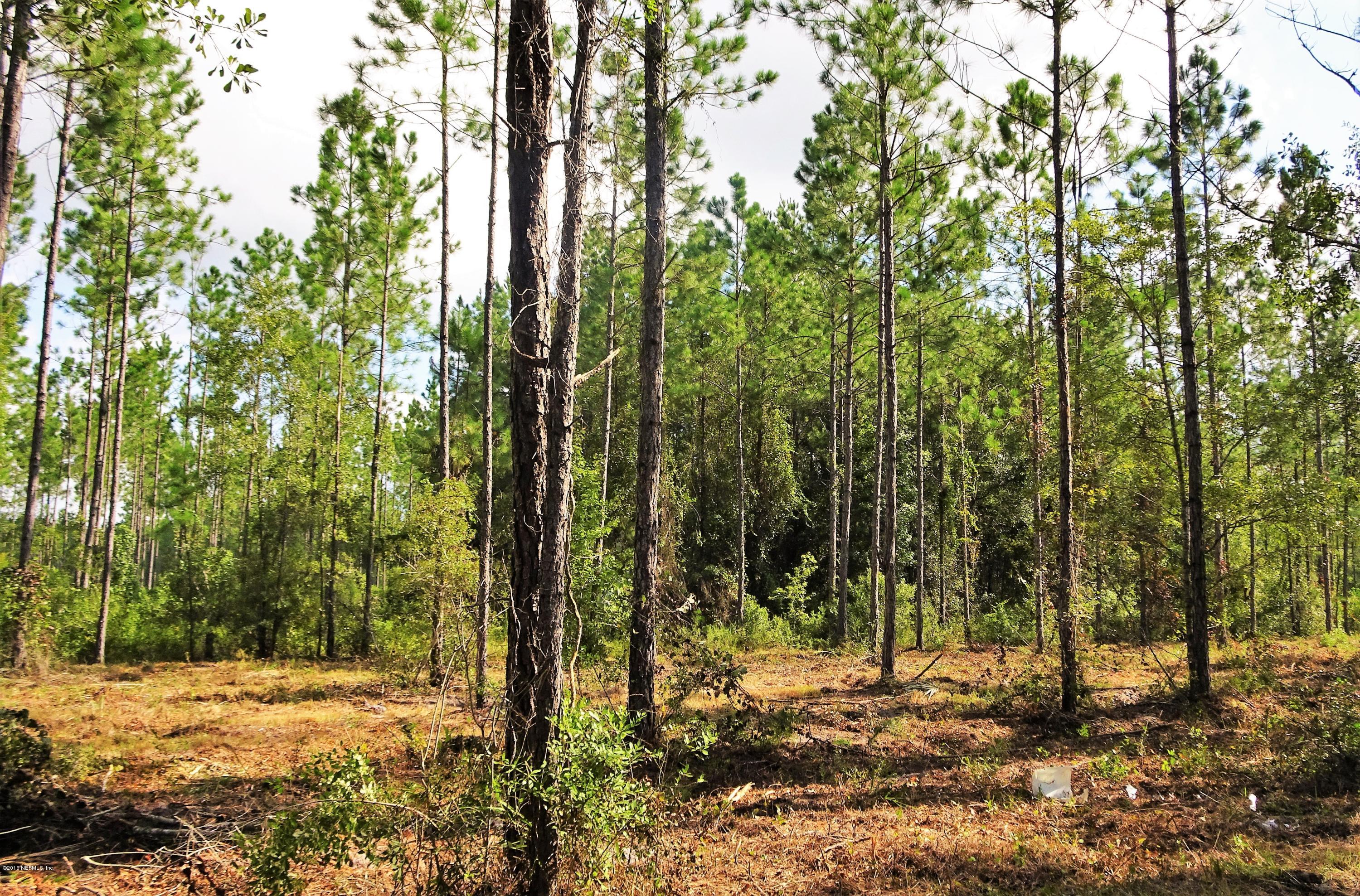 9069 McClelland Road Jacksonville, FL 32234 - Photo 5 of 11 a view of a forest with trees