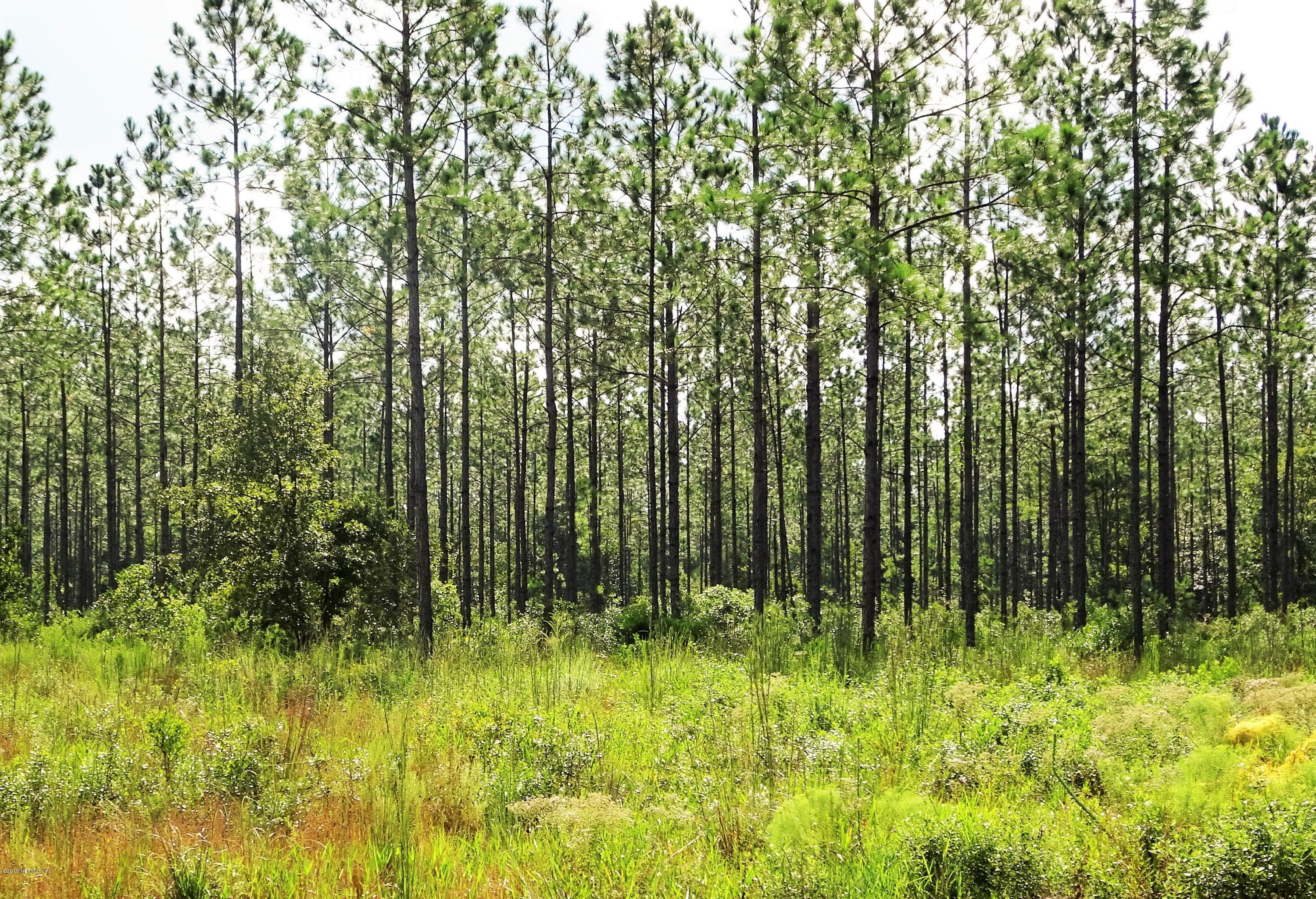 9069 McClelland Road Jacksonville, FL 32234 - Photo 7 of 11 a view of yard