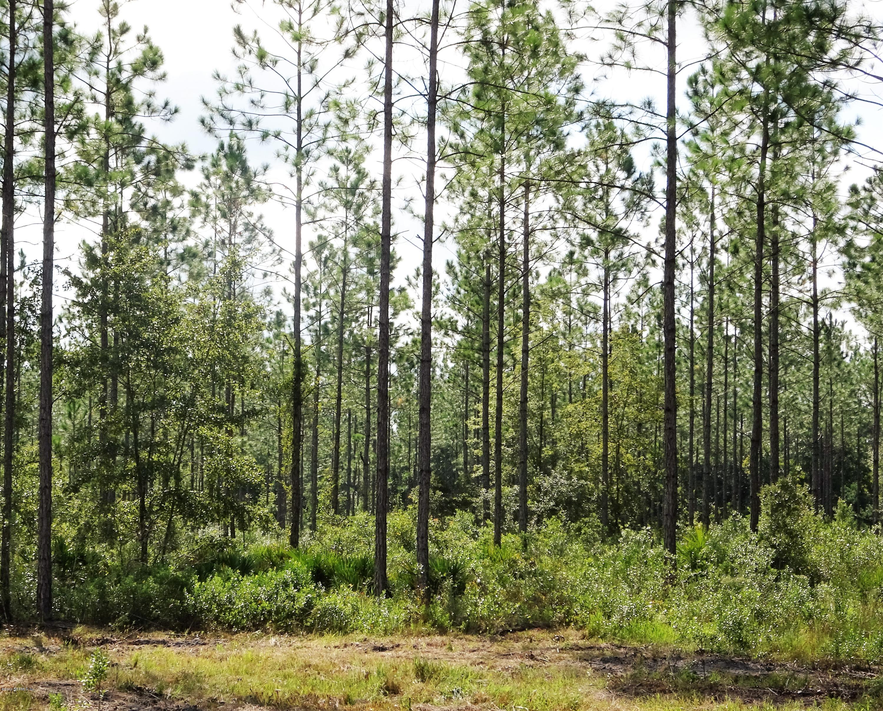 9069 McClelland Road Jacksonville, FL 32234 - Photo 9 of 11 a view of forest