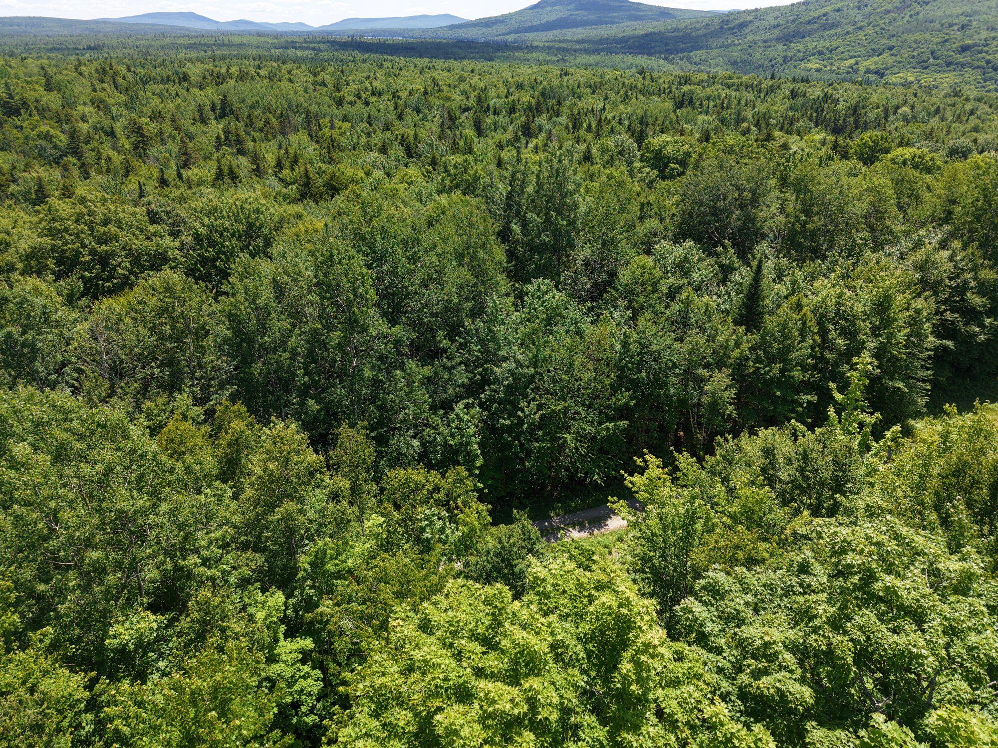 Mso3-l16 Flow Road New Portland, ME 04961 - Photo 29 of 30 DJI_20260712131608_0023_D