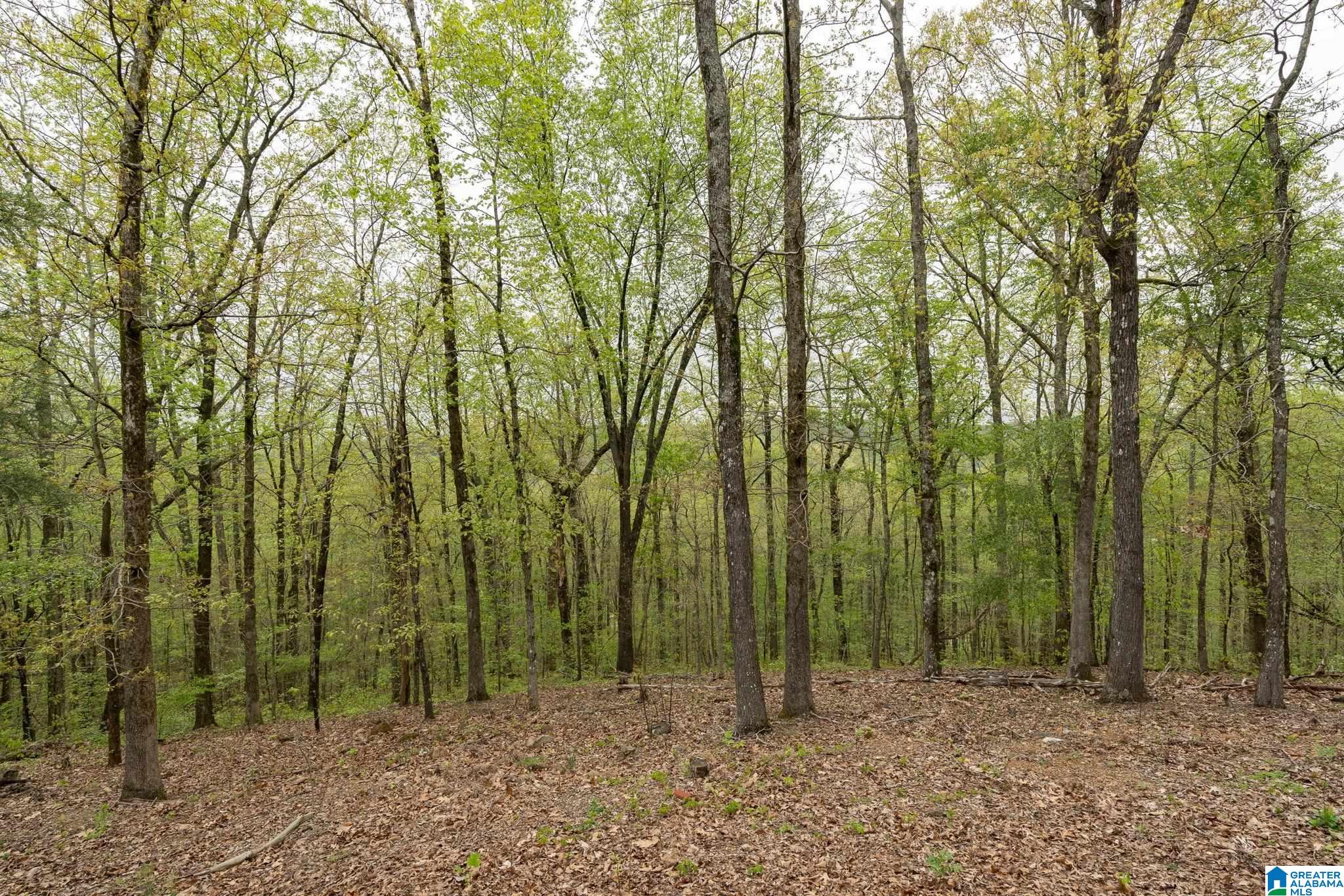 7649 Cottonridge Road Trussville, AL 35173 - Photo 46 of 48