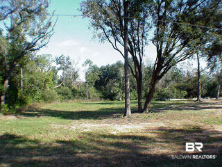 0 County Road 49 Magnolia Springs, AL 36555 - Photo 1 of 5 Main View