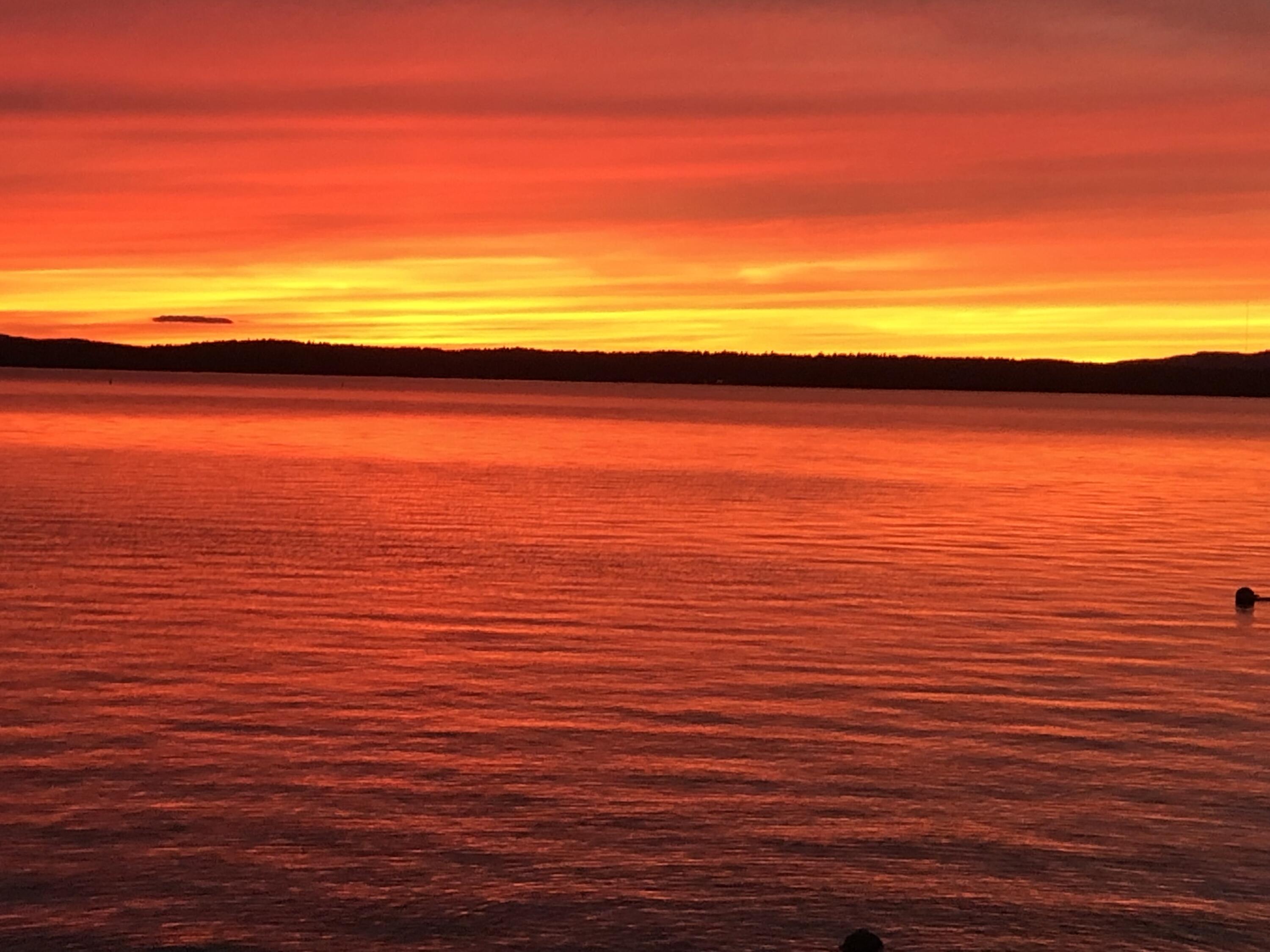 6 Gilman Road Standish, ME 04084 - Photo 8 of 60 IMG_2208