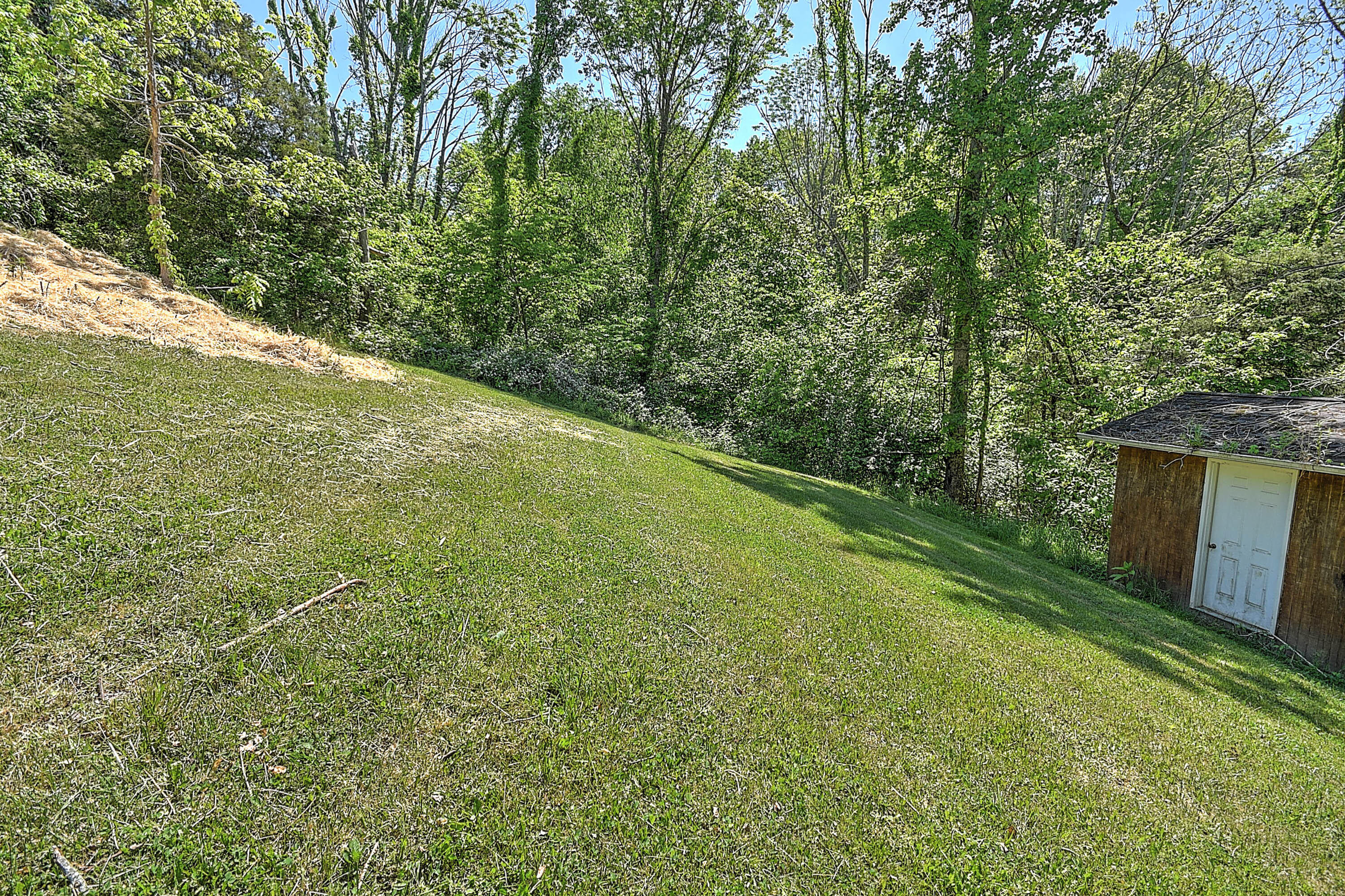 510 V I Ranch Road Bristol, TN 37620 - Photo 18 of 45 V I Ranch-7