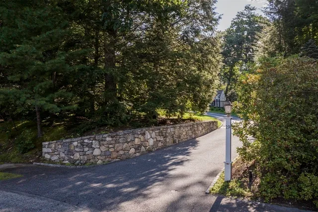 a view of a yard with an trees